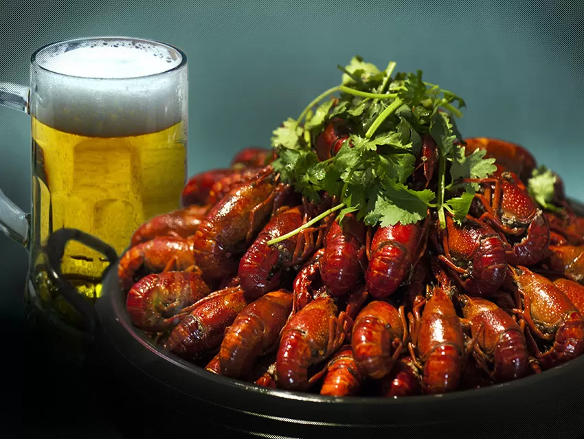 Пиво и раки